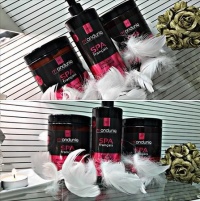 Hotel Skansen Beauty & SPA